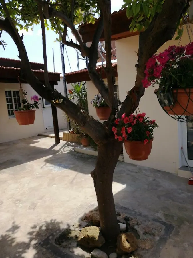 Lemon Tree Courtyard Villa Larnaca 0*,  Cyprus